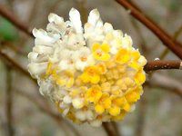 �~�c�}�^�i�O���j
