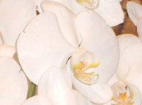 �R�`���E����