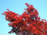 �m�����J�G�f