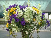 �t�����[�X�^���h�̉�