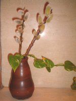 �l�R���i�M(�L��)