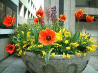�t�����[�|�b�g