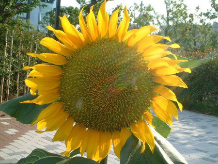 �q�}�����i�������j