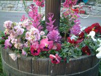 �t�����[�X�^���h�̉�