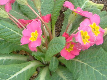 �v�������E�|���A���T