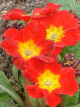�v�������E�|���A���T