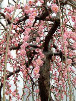 �V�_���E���i�}����~�j