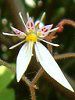 ���s��#c9e673