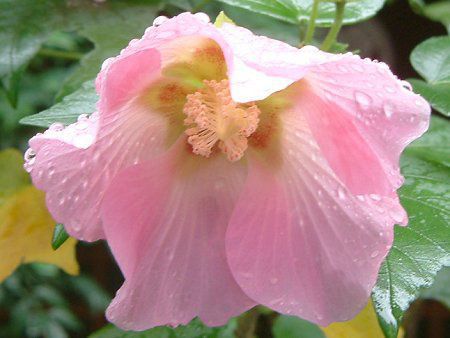 �t���E(���u) 10���̉�#1