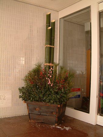 �i���e��(��V)