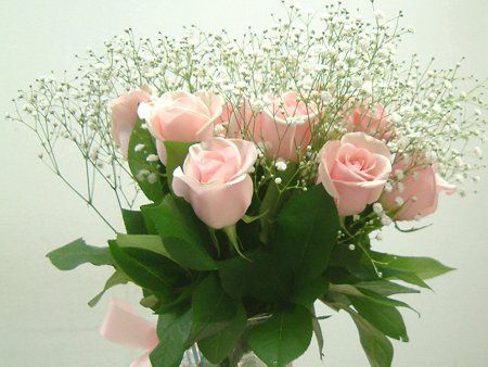 �s���N���K�N�Ɣ��������̃u�[�P