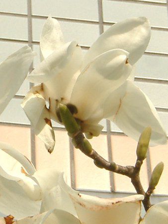  �n�N���N��������ؘ@��͂��������