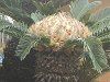 �\�e�c(�h�S)