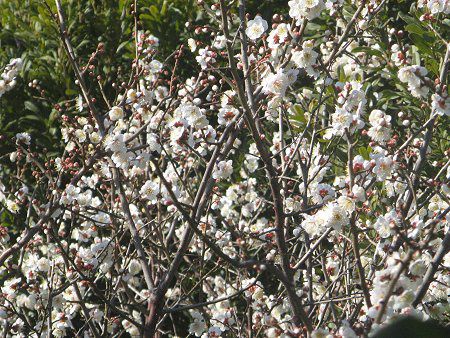 �E���E�~�EUME