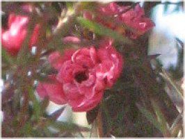 �M�������E�o�C(����~)