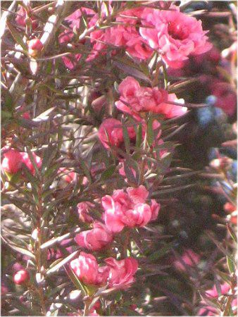 �M�������E�o�C(����~)