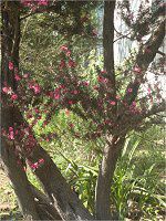 �M�������E�o�C(����~)