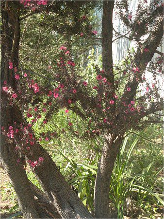 �M�������E�o�C(����~)