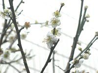�E��(�~)