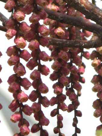 �L�u�V(�،ܔ{�q)28