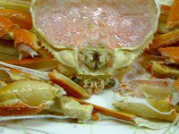 �Y���C�H��up