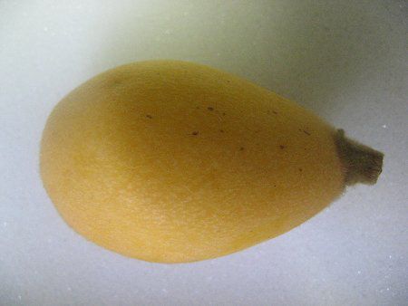 �r���i���f�j