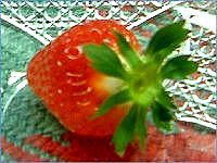 �C�`�S�H�O