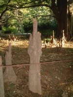 �k�}�X�M �i�����j