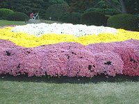 11���̉�#2(2001�N)