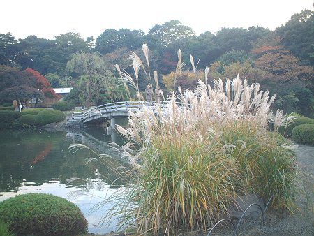 �X�X�L�i���j
