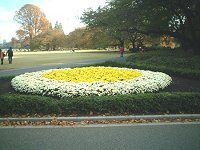 11���̉�#2(2001�N)