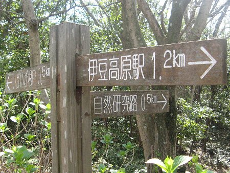 �郖�藧�ĊŔ�