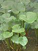 ���s��#c9e673