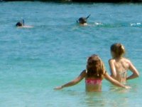 �X�m�[�P�����O
