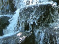 �n���C��(2002�N8��)-�z�e�� �I�[�L�b�h�}�E���i�j