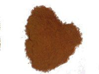 �N���[�u(Clove)