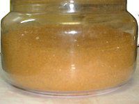 11���̉ԂƃJ���[��(Curry Powder)