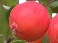 �q�������S(�P�ь�)