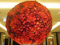 �D�y�C���~�l�[�V����013s