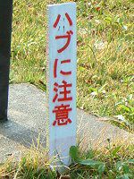 �n�u�ɒ���