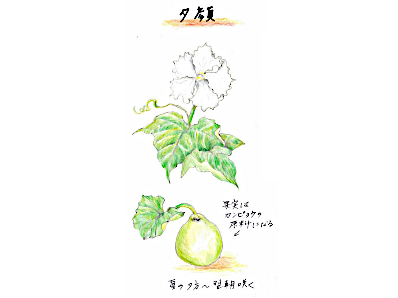 ���E�K�I