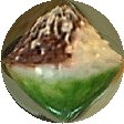 �Ă�����(2001�N)