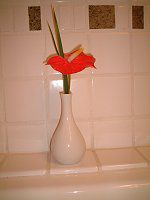 �A���X���E��(Anthurium)