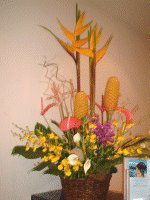 �}�E�C�̃t�����[�A�����W�����g