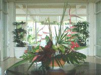 �}�E�C�̃t�����[�A�����W�����g