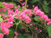 �A�T�q�J�Y���i�������j