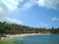 �X�m�[�P�����O