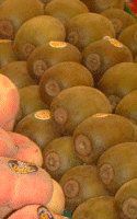 �L�E�C(Kiwi)