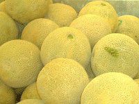 ������(Melon)