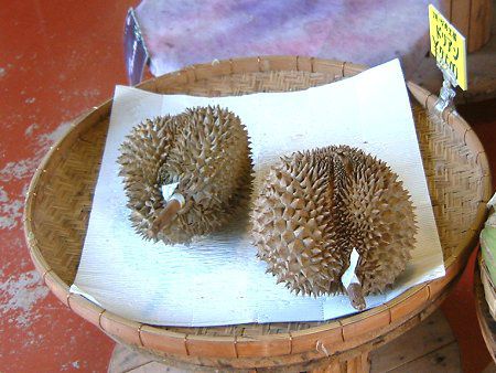 �h���A��(Durian)